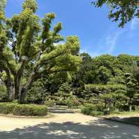 【道後公園】道後駅前のゆのやとお団子を買って公園でいただきます🩷