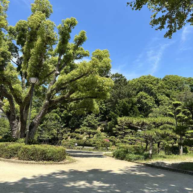【道後公園】道後駅前のゆのやとお団子を買って公園でいただきます🩷