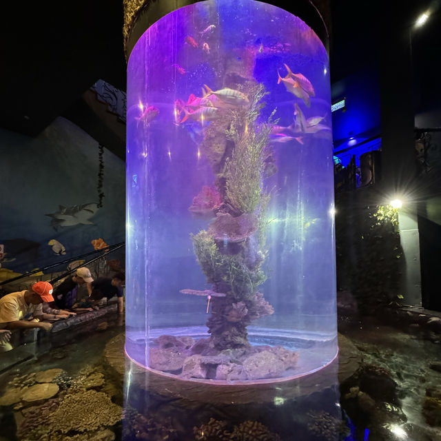 Aquarium Vinpreal Nha Trang