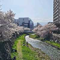 尊重傳統工藝保存的松本市