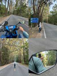 5 พิกัดวันเดย์ทริปทะเลปากเมง จ.ตรัง ⛰️☀️🌲🌊