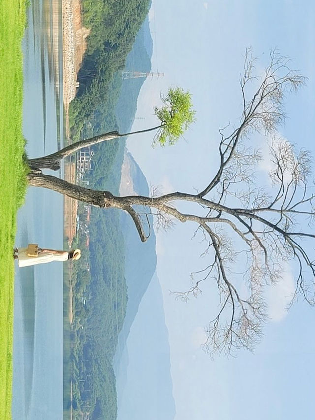 보령에도 스위스가 있었네요🍃💚
