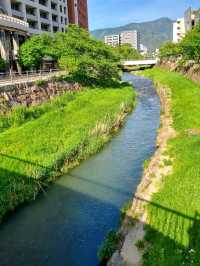 LAST SPRING IN MATSUMOTO, NAGANO, JAPAN