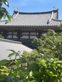 【京阪神五至七日遊】貓🐱風列車、合掌村、清水寺、心齋橋購物，穿和服遊京都