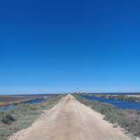 Discover the Untamed Beauty of the Camargue - France’s Wild Heart of Flamingos, Horses