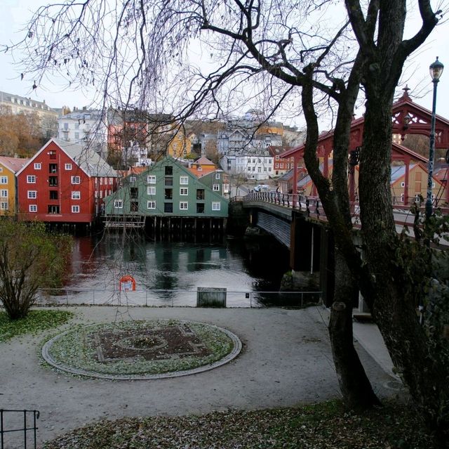 挪威的教育城市Trondheim，最後的極光