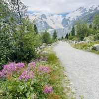 🇨🇭スイス　モルテラッチ氷河ハイキング