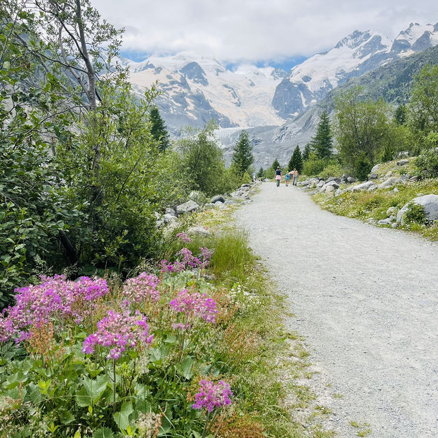 🇨🇭スイス　モルテラッチ氷河ハイキング