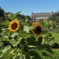 Jardin des Plantes: A Botanical Haven in the City