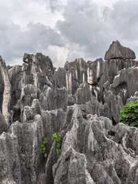 Stone Forest in Kunming 