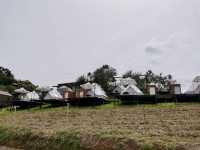 วิวกับหมอกที่ม่อนแจ่ม ต้องจริต Glamping เท่านั้น! 