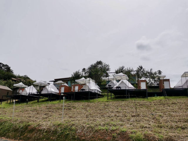 วิวกับหมอกที่ม่อนแจ่ม ต้องจริต Glamping เท่านั้น! 