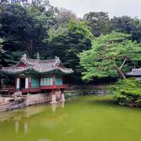 Palace of Serenity: Changdeokgung's Majestic Charm