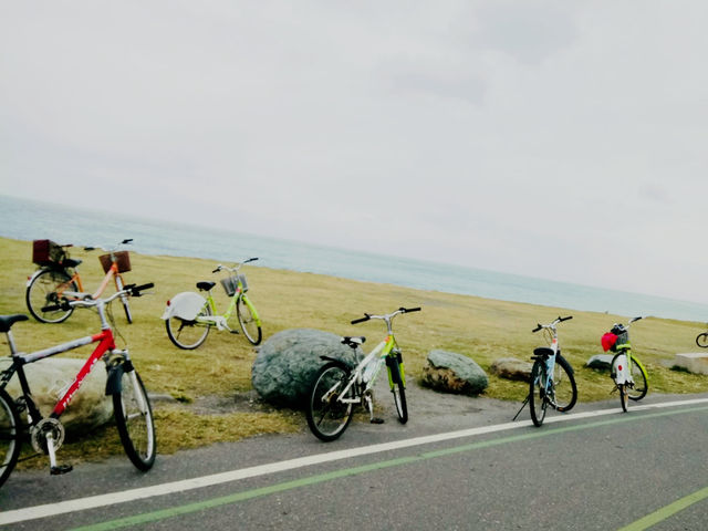 「台東海濱公園單車遊」：拍照打卡、美食休憩，享受悠閒時光