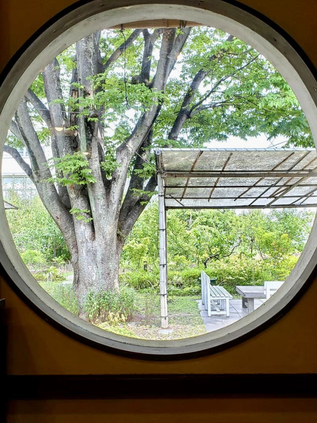 🌳 우거진 나무 정원 속 오사카 🍵일본식 디저트 카페 핫플 투어 추천 💚