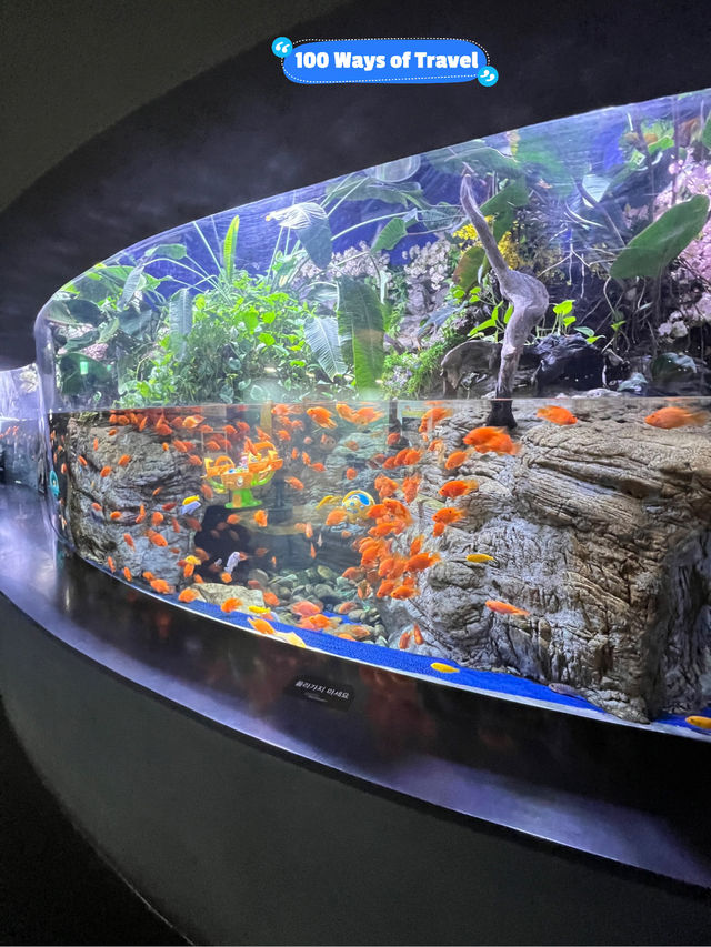 🇰🇷 Aqua planet 63