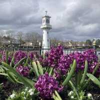 Cardiff’s Green Oasis
