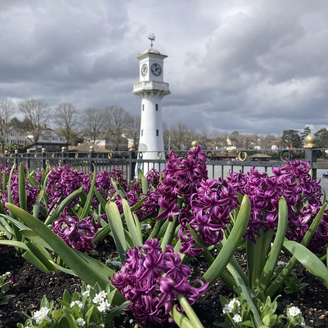 Cardiff’s Green Oasis