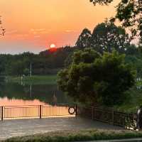 Garth Park：綠油油的自然天堂與迷人夕陽🌳🌅✨