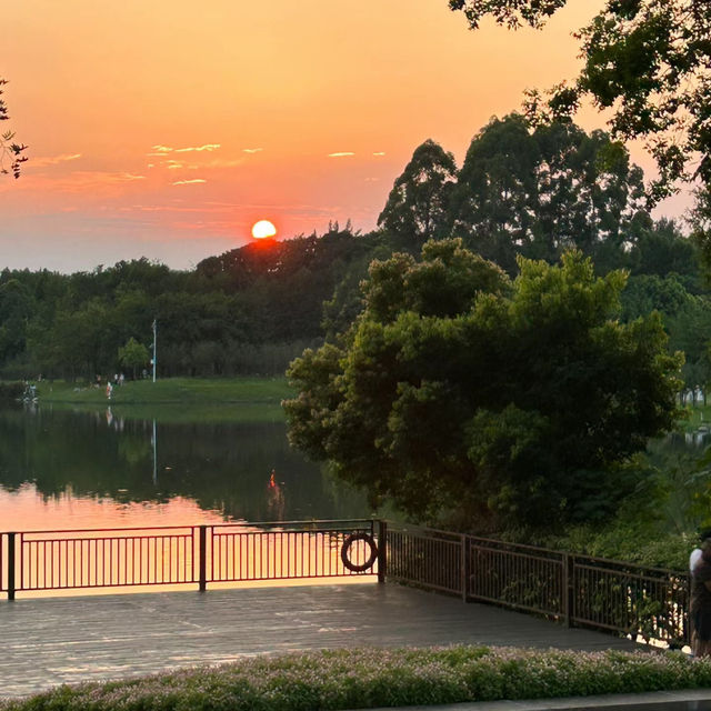 Garth Park：綠油油的自然天堂與迷人夕陽🌳🌅✨