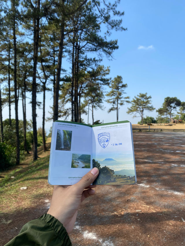 ห้วยน้ำดัง | จ.เชียงใหม่ ⛺️☀️⛰️🌳