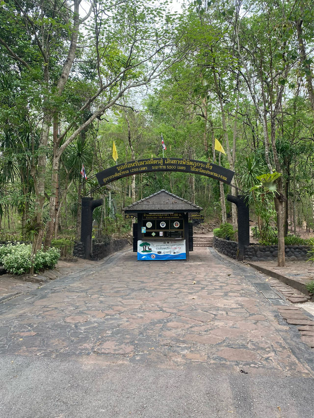 เดินป่าที่ภูกระดึง | จ.เลย 🚶🏻🌿🌳🥾