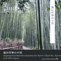 【京都】大人なのんびり旅✨3泊4日🎋