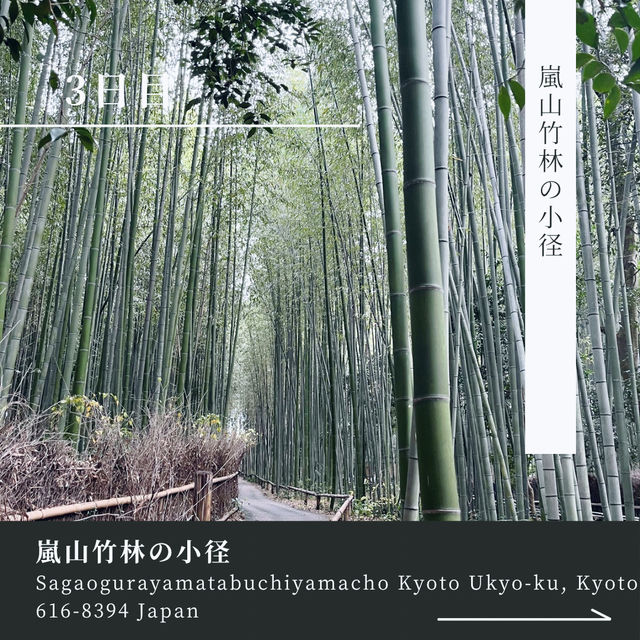 【京都】大人なのんびり旅✨3泊4日🎋