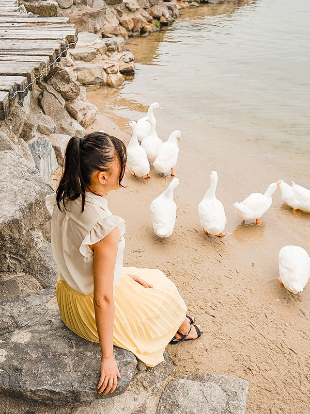📍シャーレ水ヶ浜