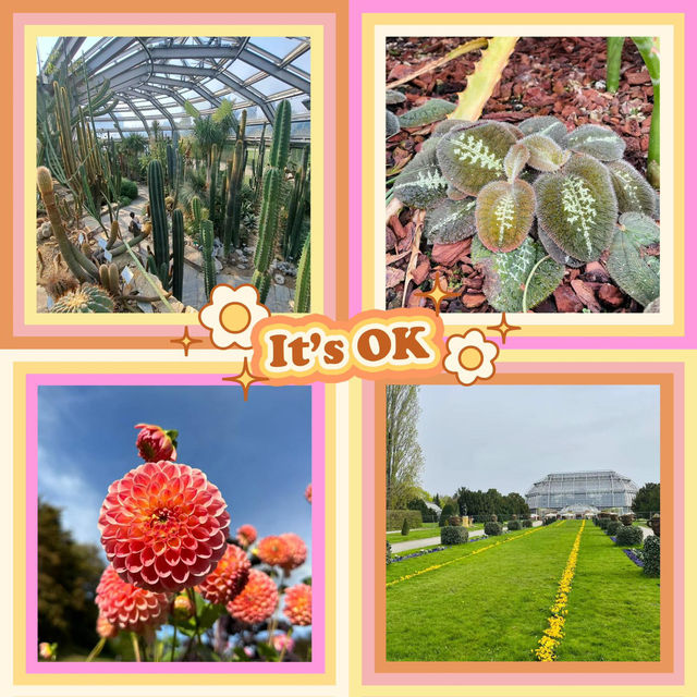 ～牛津大學哈考特植物園～增長植物知識好去處～