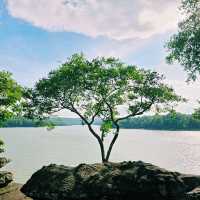 ภูผายล