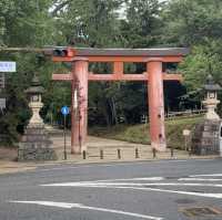 奈良公園の　鹿！！