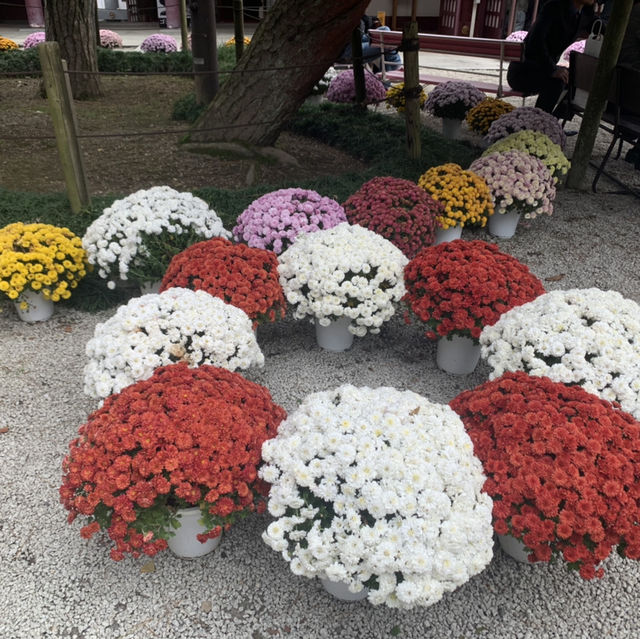 笠間稲荷神社！！