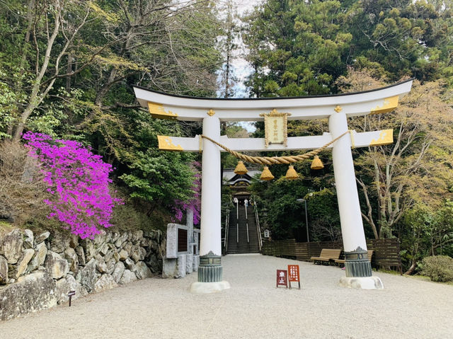 長瀞　宝登山神社