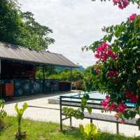 Hidden Hostel in Country Side of Vang