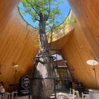 Harudot Chonburi by Nana Coffee Roasters