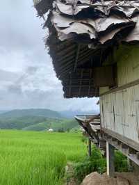 นาขั้นบันได ป่าปงเปียง