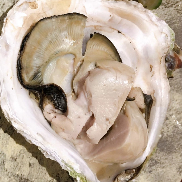 【大分】最高食材が気軽に食べられるミシュラン星付き和食店✨