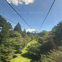 東京郊區美景蘆之湖