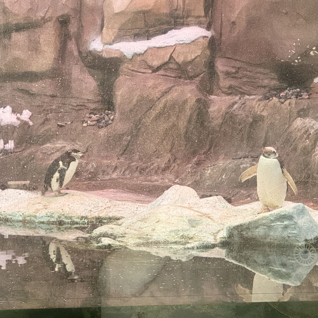 충남 아이와 함께 가볼만한 곳, 서천국립생태원