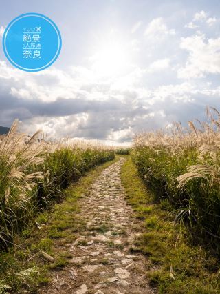 想看關西秋季絕景就一定要來這裡！輕鬆就能拍到絕景，最後一張是用iPhone拍的