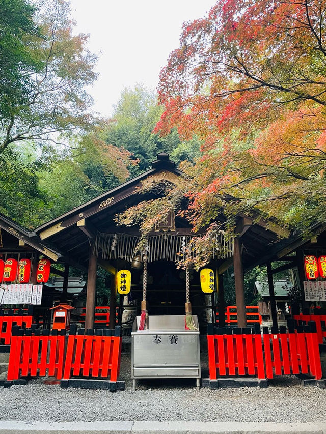 【京都府】一瞬で京都の情緒を感じる神社