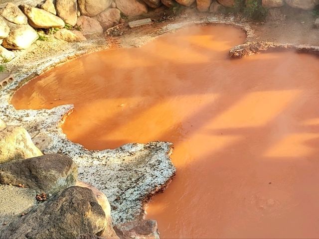 【大分】別府温泉♨️色とりどりの地獄めぐりは天国なのかもしれない