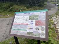 チェリーパークラインで高峰高原をドライブ@長野🛣️