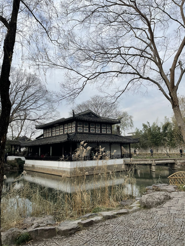 From Ancient Streets to Serene Gardens: A Journey Through Suzhou’s Timeless Beauty