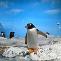 【千葉】シャチショーが見れる水族館