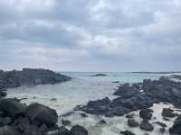 済州島🇰🇷