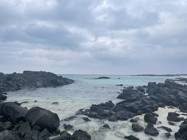 済州島🇰🇷