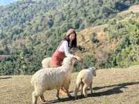 อาข่า ฟาร์มวิลล์ (Akha FarmVille)