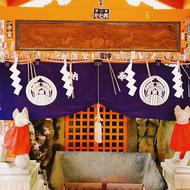 ツツジと千本鳥居が有名！根津神社⛩